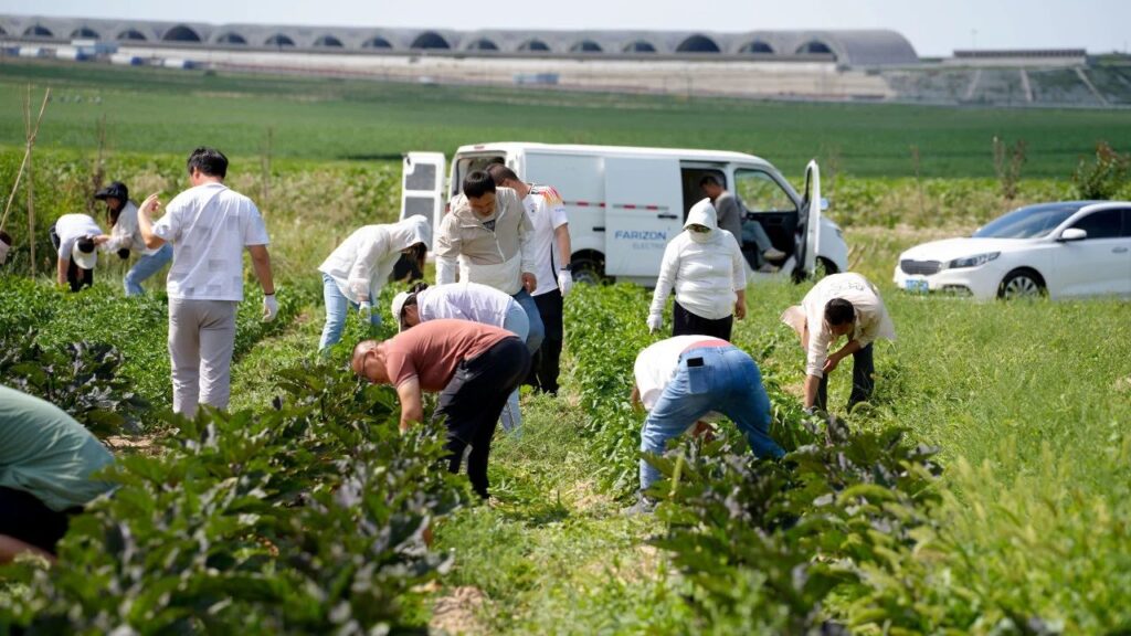 夏日最美群像 | cq9物流2024年中团建特辑