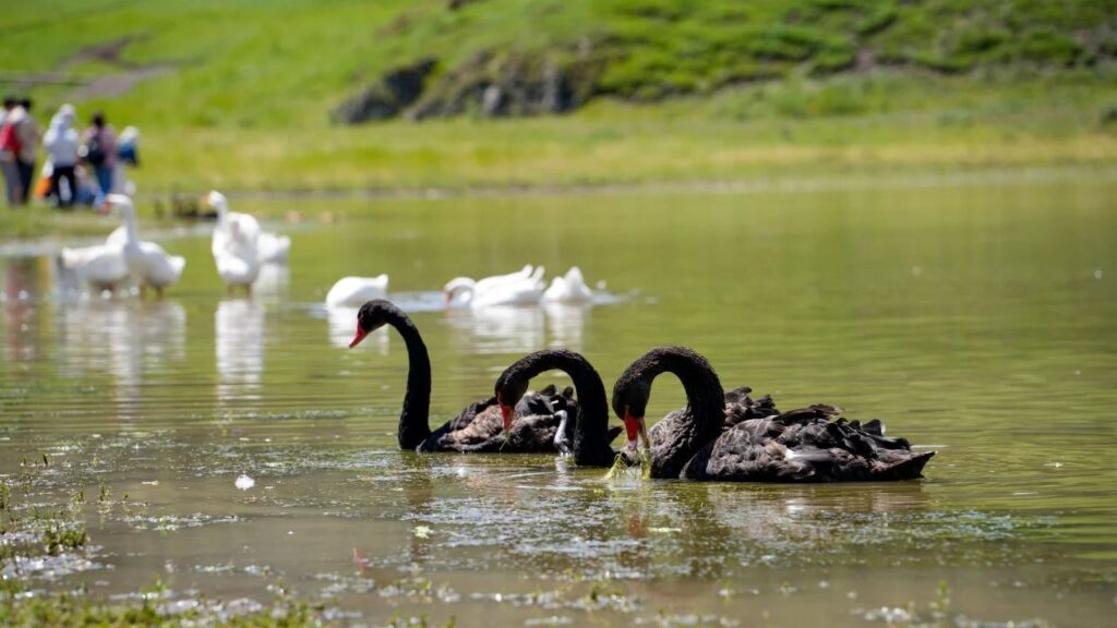夏日最美群像 | cq9物流2024年中团建特辑