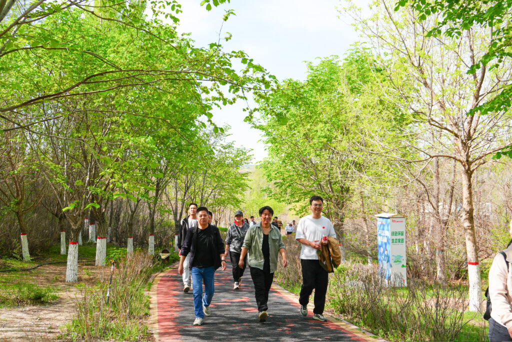 绿径同行·步筑新途 | cq9物流团队徒步团建之旅