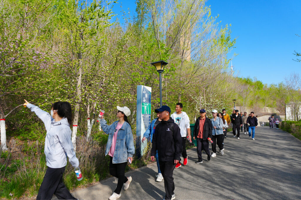 绿径同行·步筑新途 | cq9物流团队徒步团建之旅